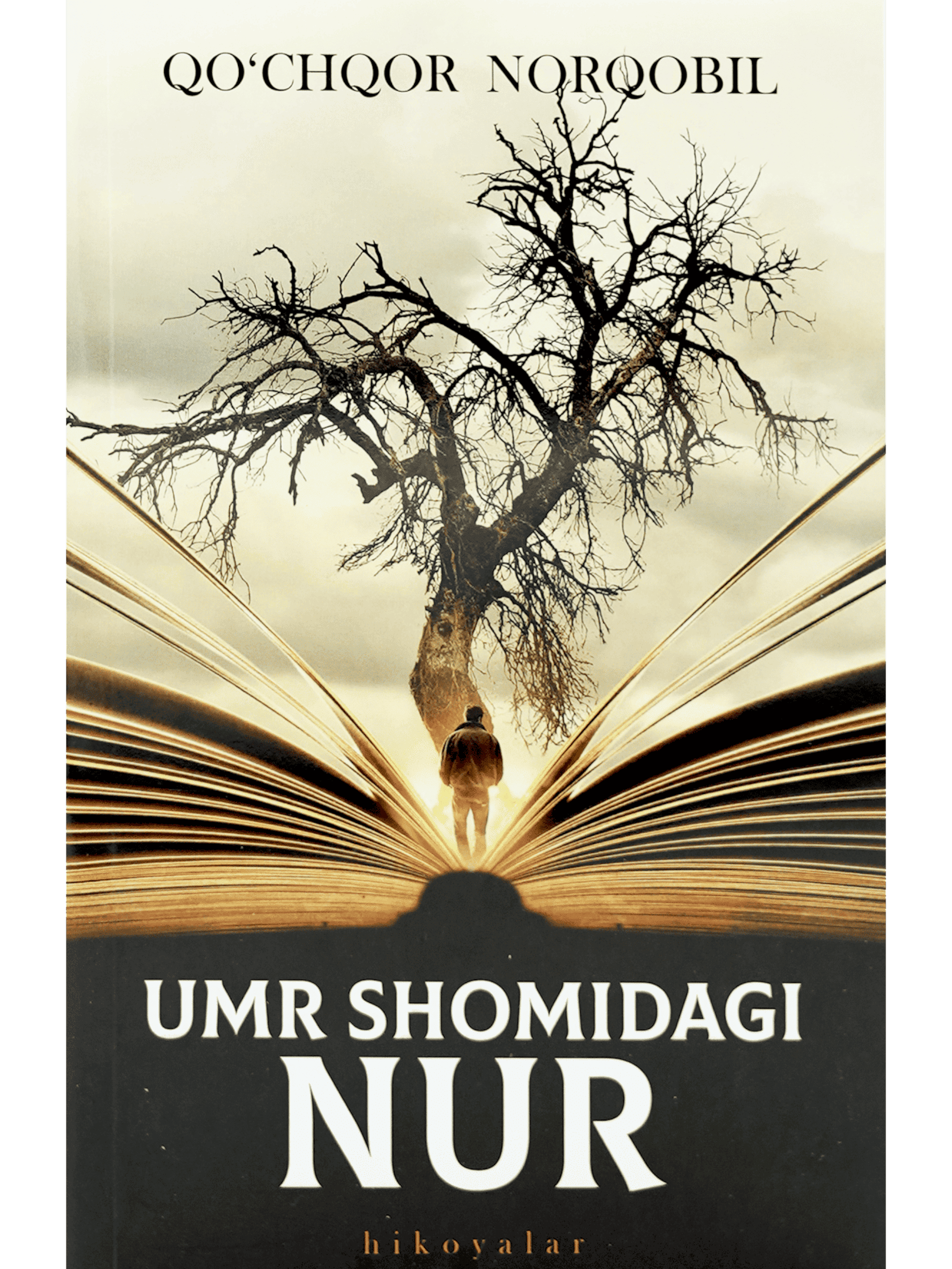 Umr oqshomidagi nur muqovasi