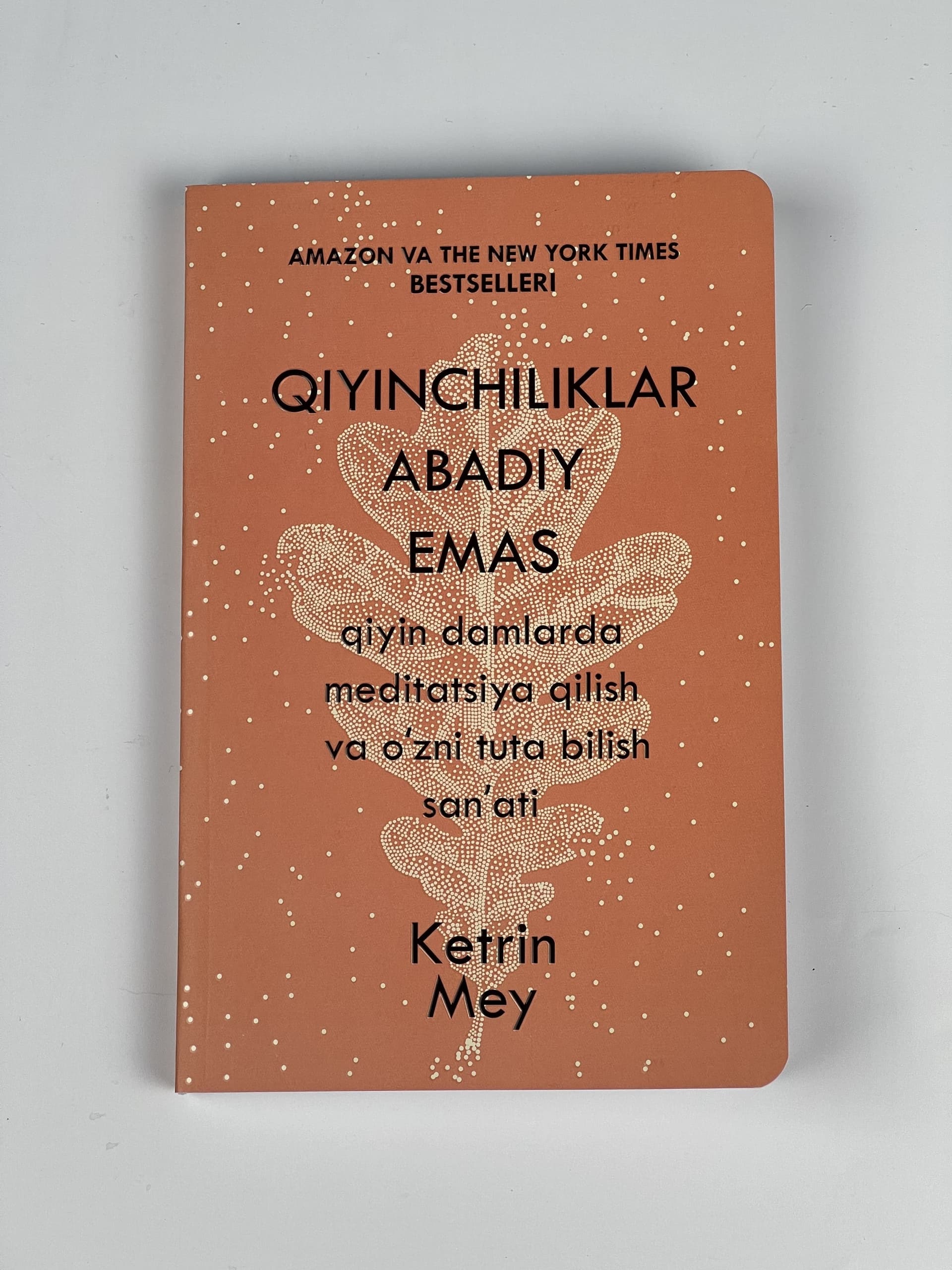 Qiyinchiliklar abadiy emas muqovasi