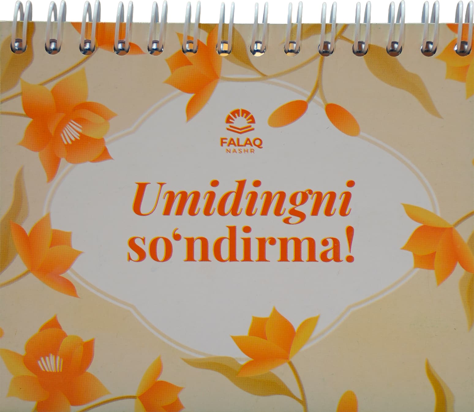 Umidingni so'ndirma muqovasi