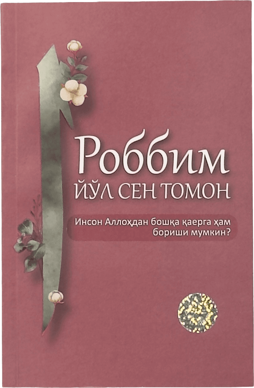 Robbim yo'l Sen tomon muqovasi