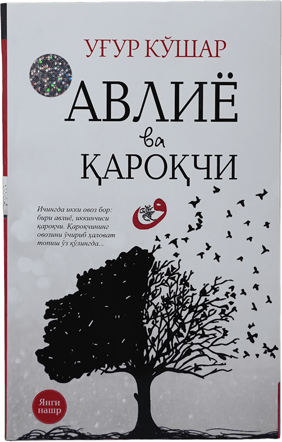 Avliyo va qaroqchi muqovasi