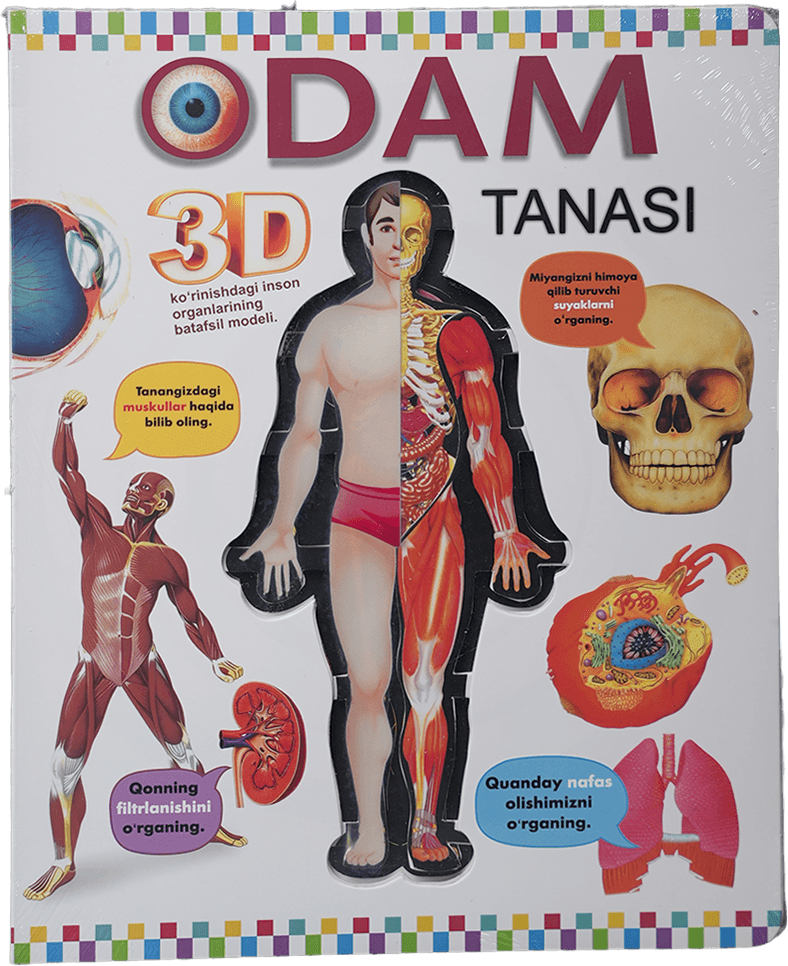 Odam tanasi 3D muqovasi