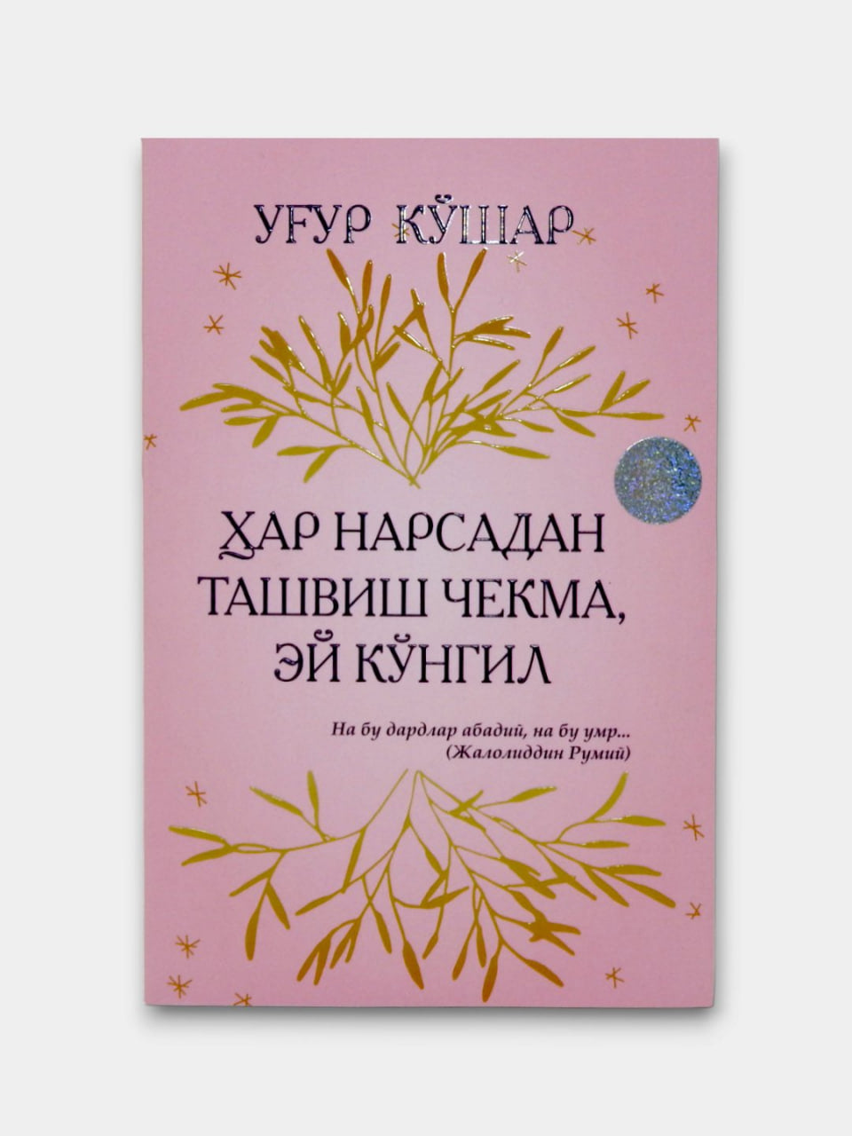 Har narsadan tashvish chekma, ey ko'ngil