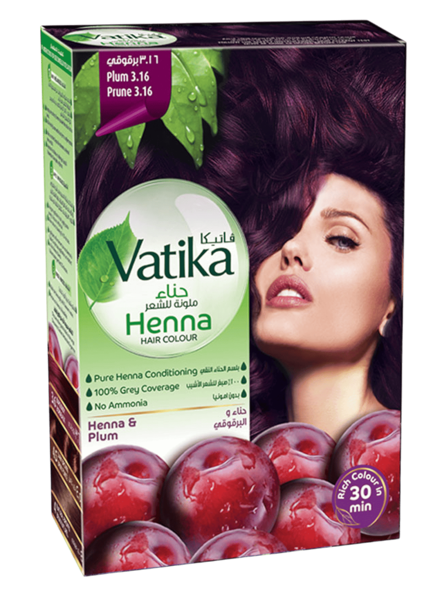 Henna Vatika (Plum)