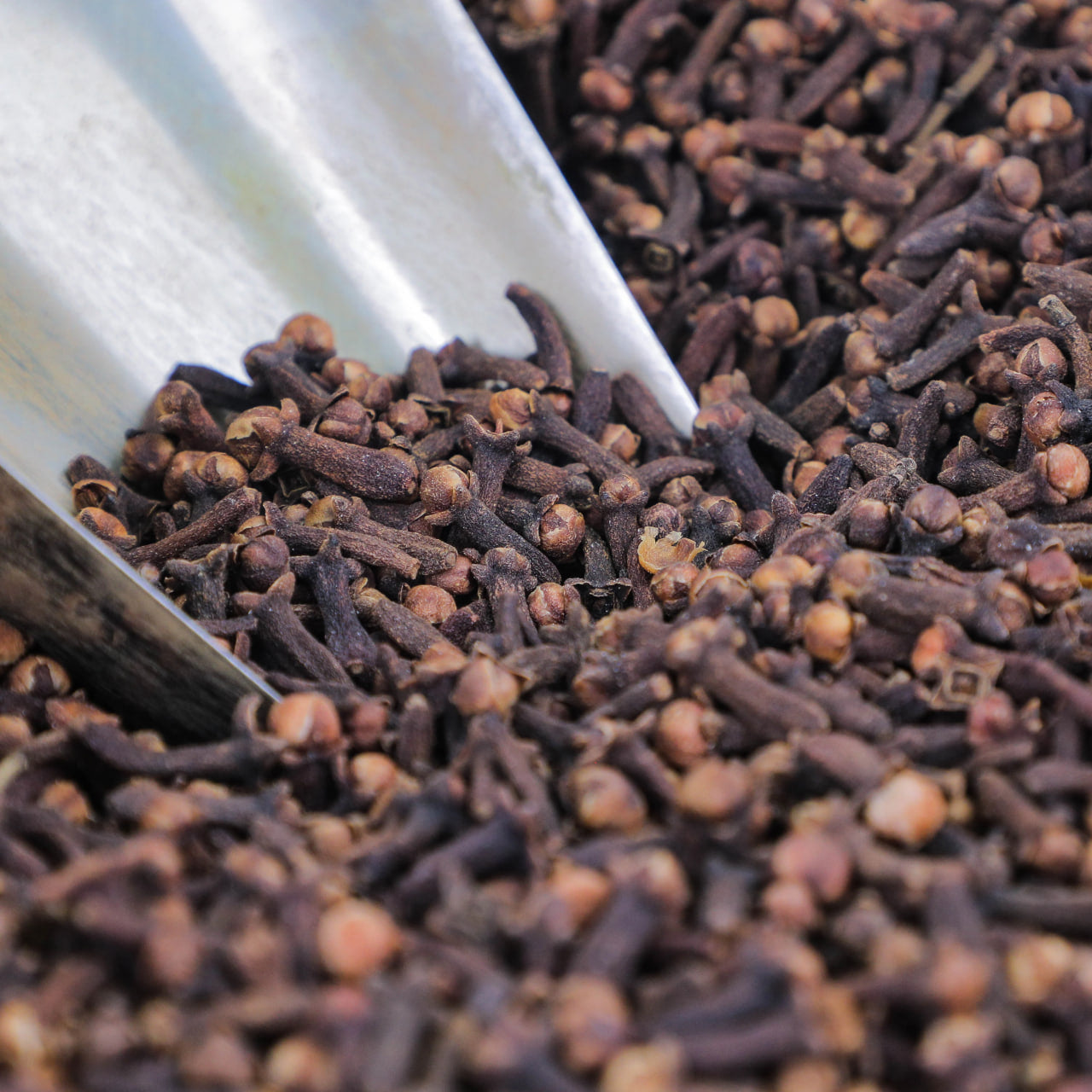 Qalampir Munchoq 100g