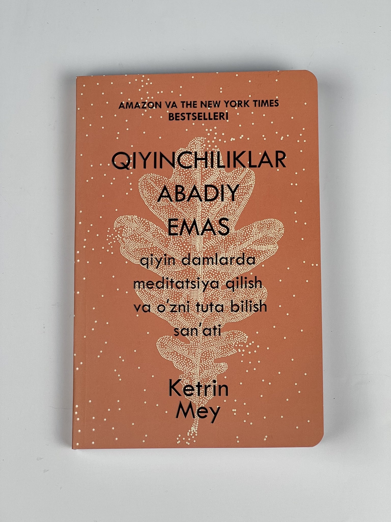 Qiyinchiliklar abadiy emas Ketrin Mey