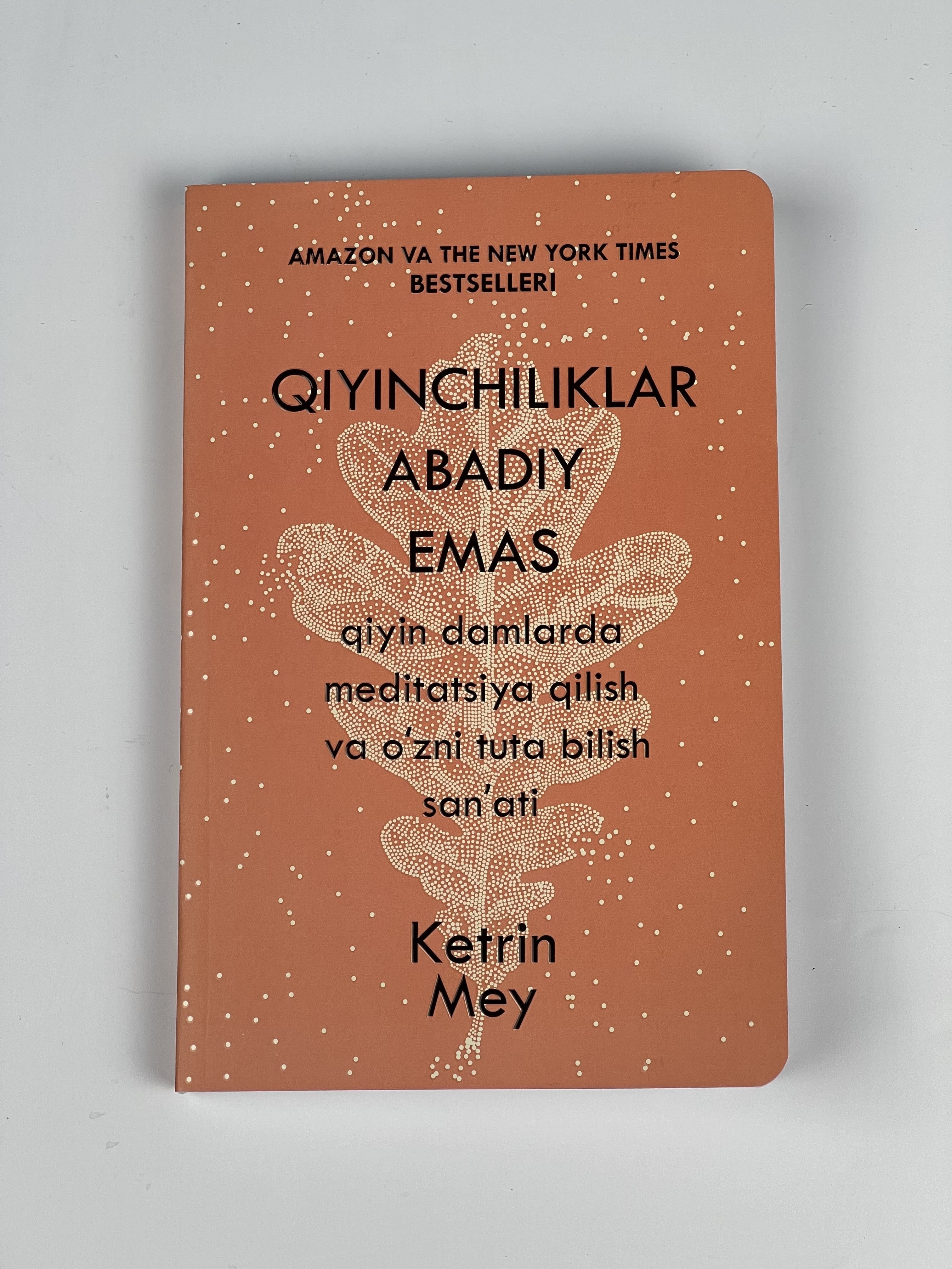 Qiyinchiliklar abadiy emas muqovasi