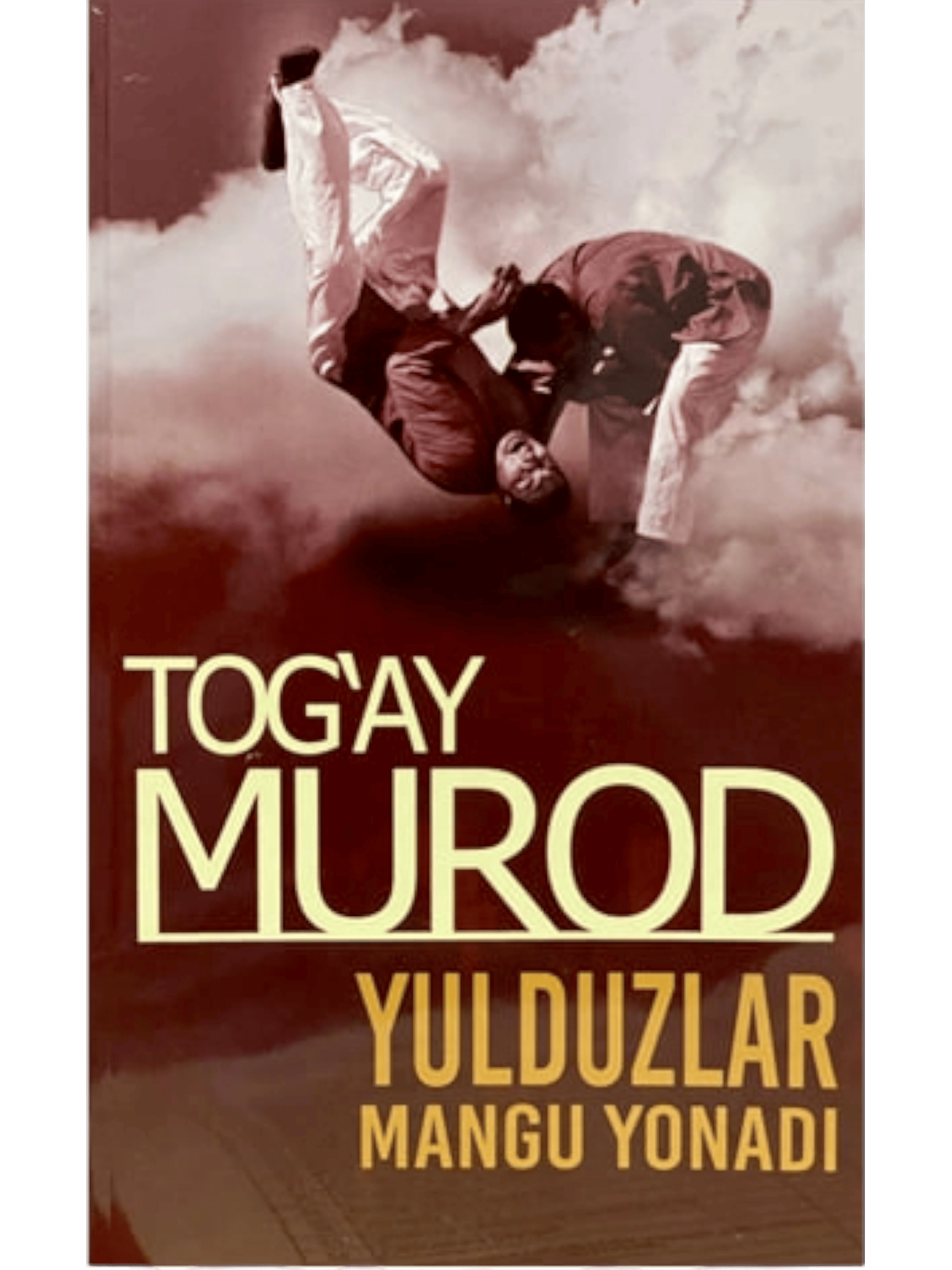 Yulduzlar mangu yonadi (Pharos Ambition) muqovasi