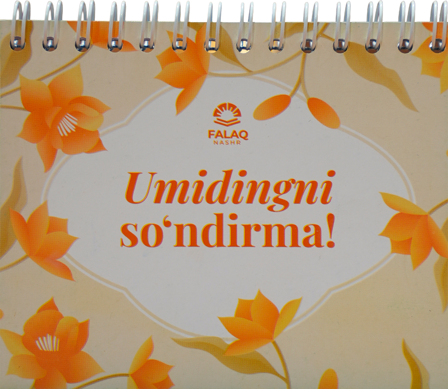 Umidingni so'ndirma muqovasi