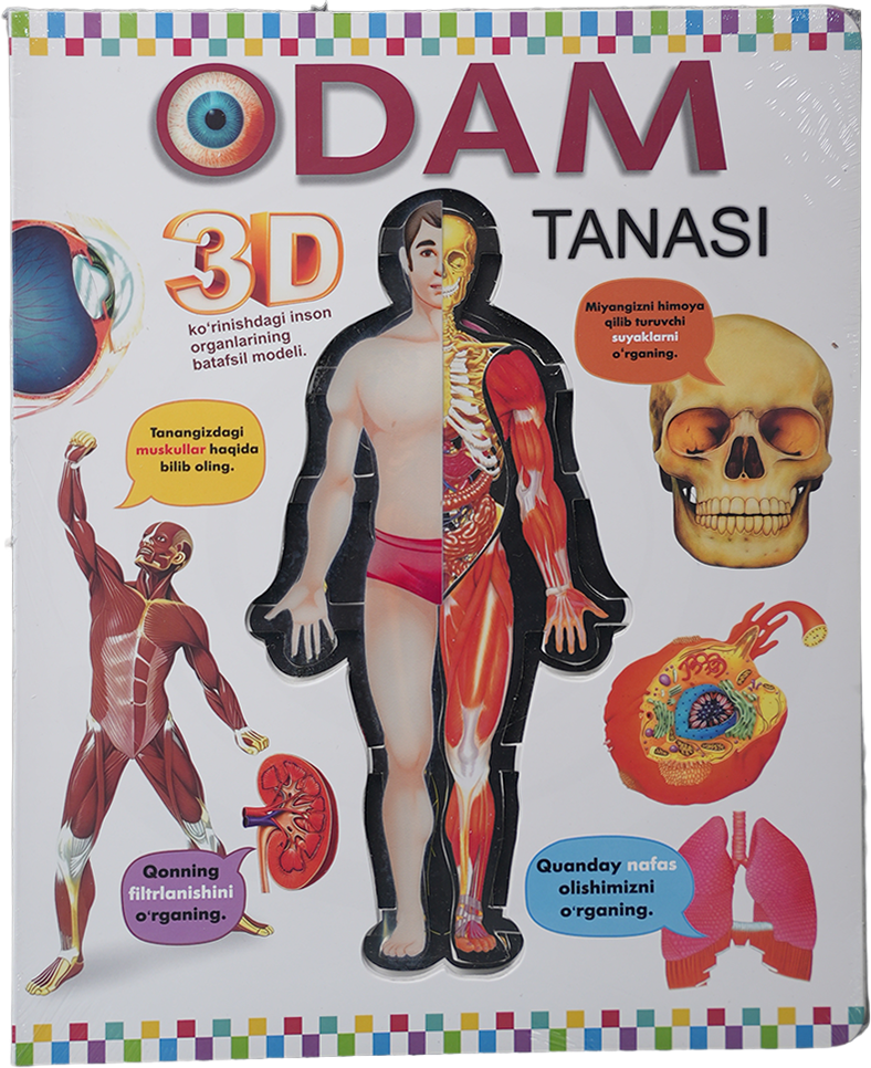 Odam tanasi 3D muqovasi
