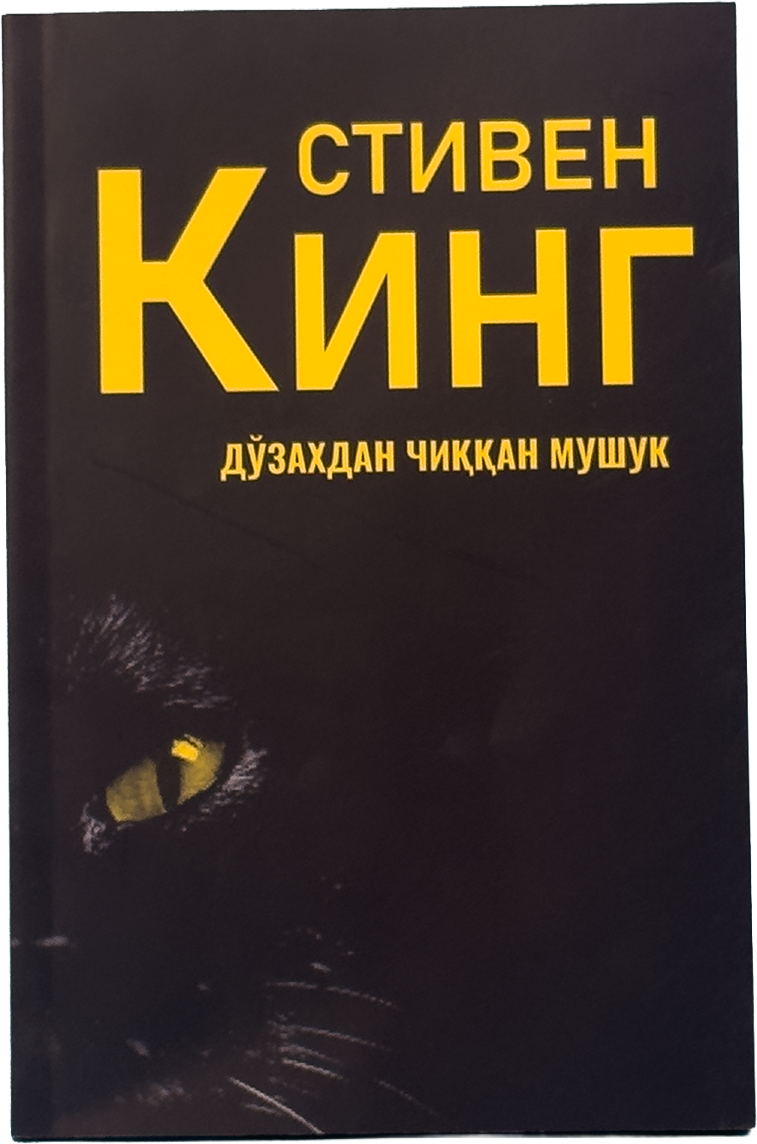 Do'zaxdan chiqqan mushuk muqovasi